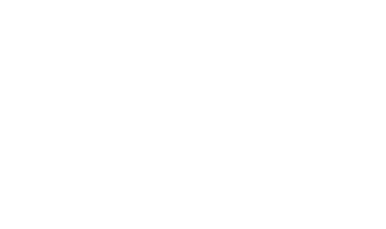 Pix Software Consultinglogo